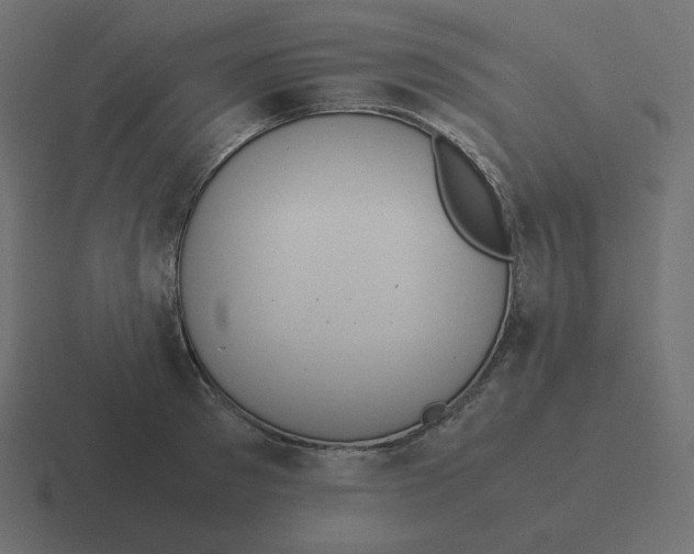 X0000116460897200912292005