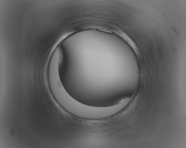 X0000116460909200912292005
