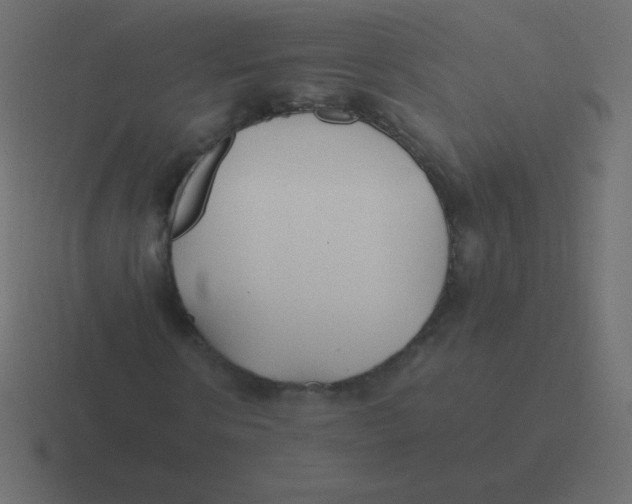 X0000116460914200912292004