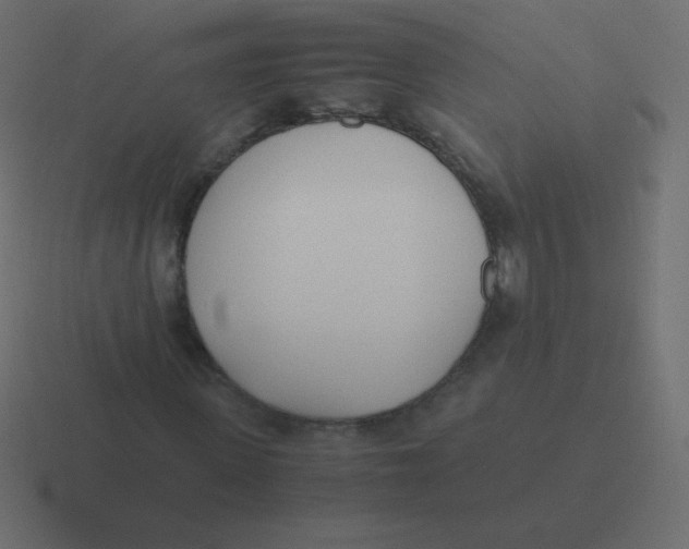 X0000116460915200912292004