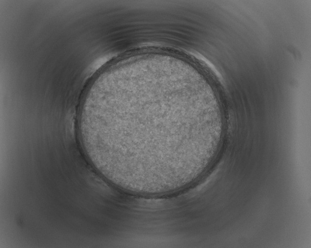 X0000116460921200912292004