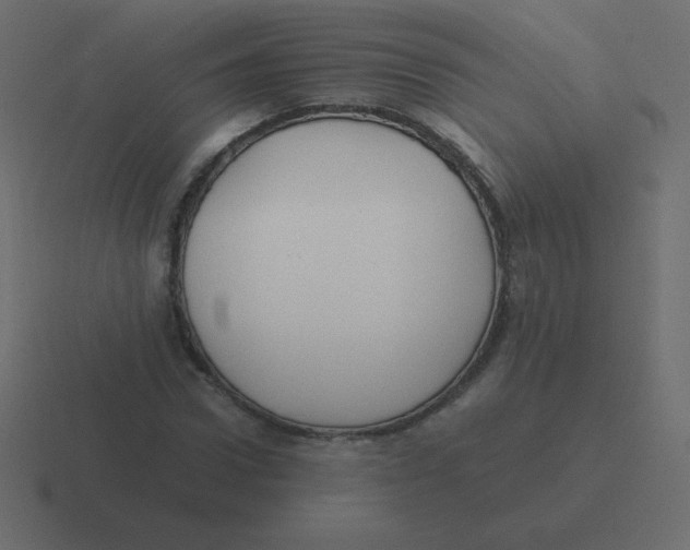 X0000116460922200912292004