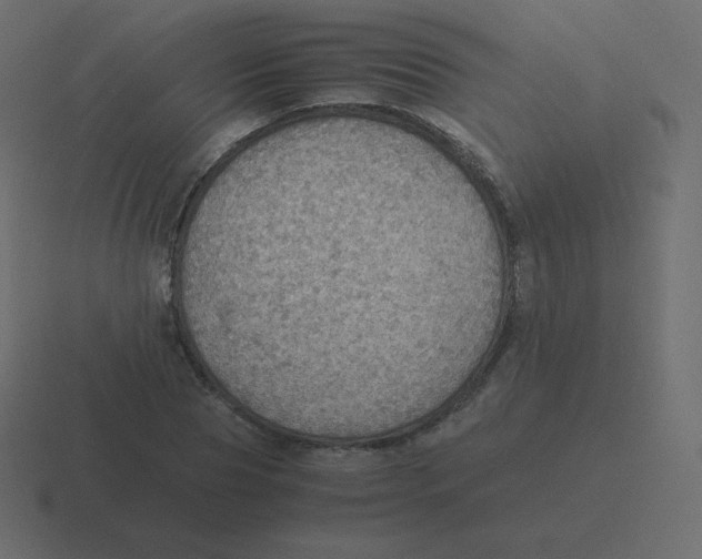X0000116460929200912292004