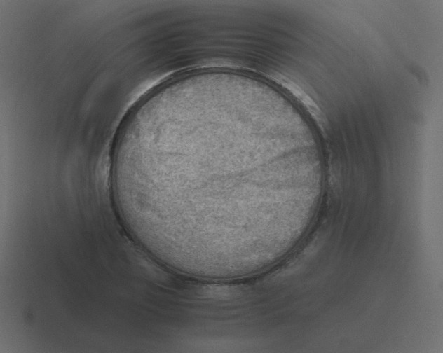 X0000116460933200912292004