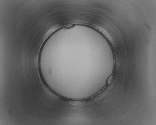 X0000116460946200912292004