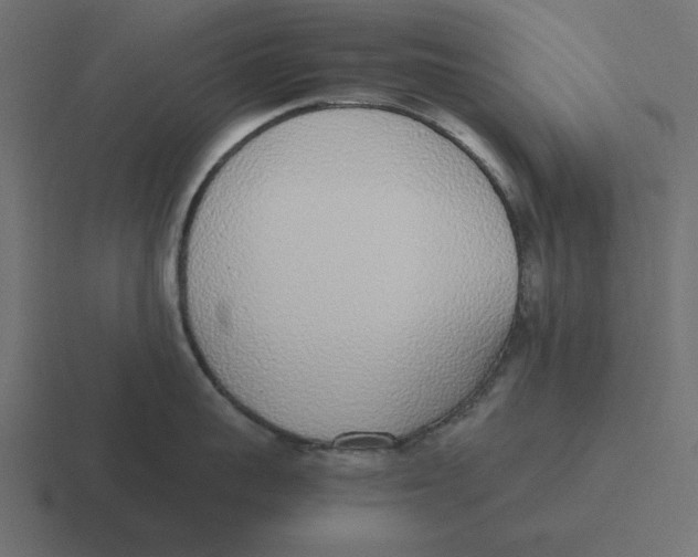 X0000116460959200912292005