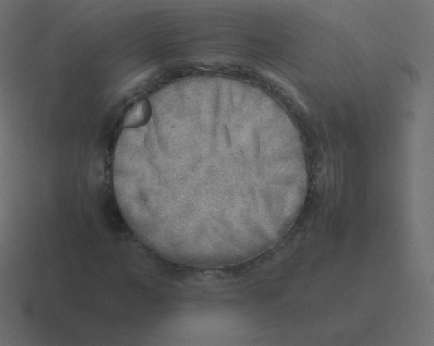 X0000116460966200912292004