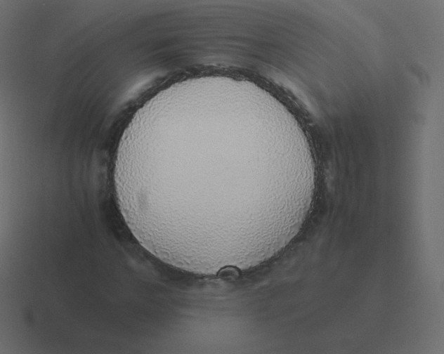 X0000116460968200912292004