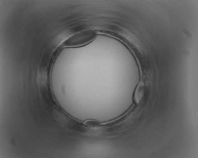 X0000116460969200912292004