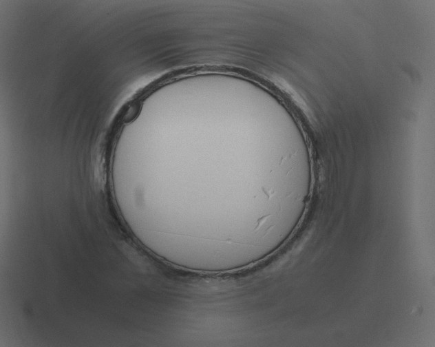 X0000116460973200912292004