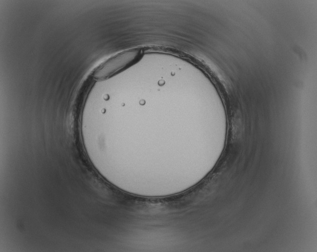 X0000116460975200912292004