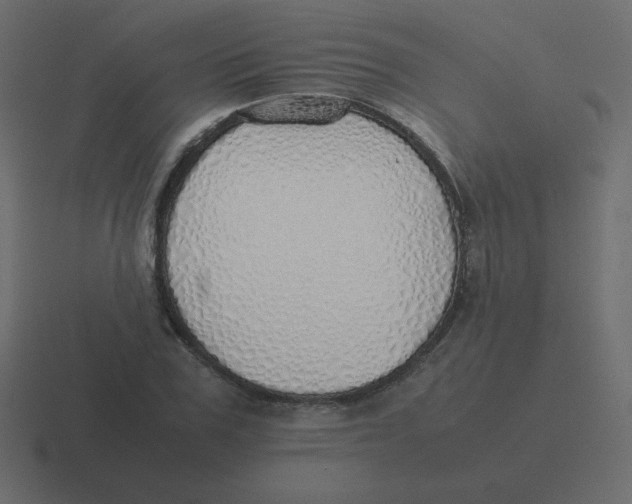 X0000116460979200912292004