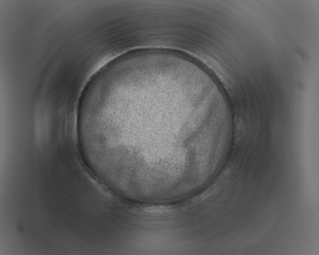 X0000116460982200912292004