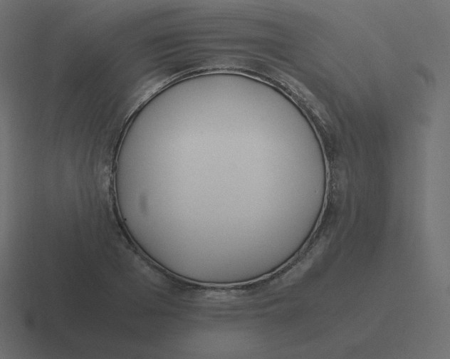 X0000116460985200912292004