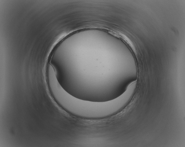 X0000116460997200912292003