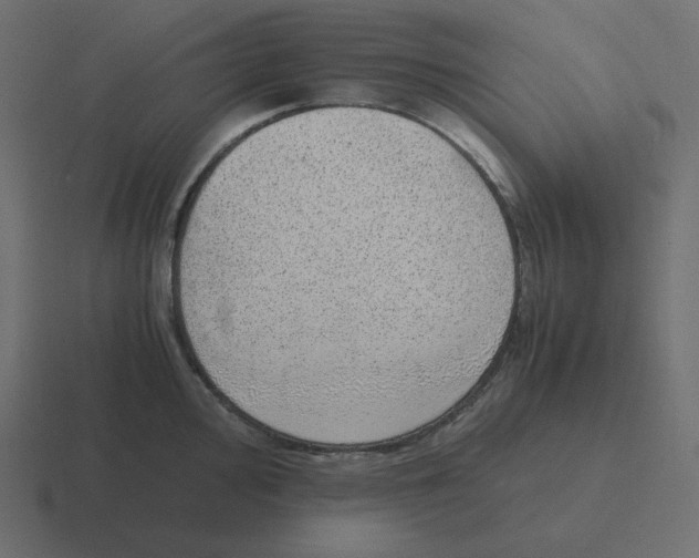 X0000116461000200912292003