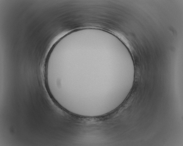 X0000116461003200912292003