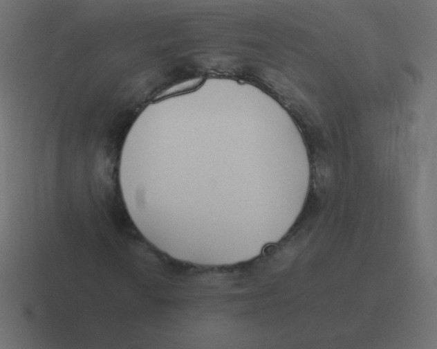 X0000116461010200912292003