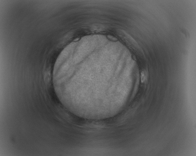 X0000116461011200912292003