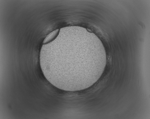 X0000116461012200912292003
