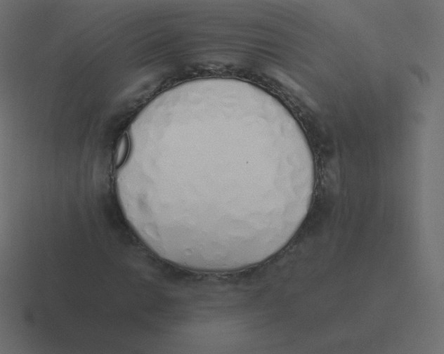 X0000116461014200912292003