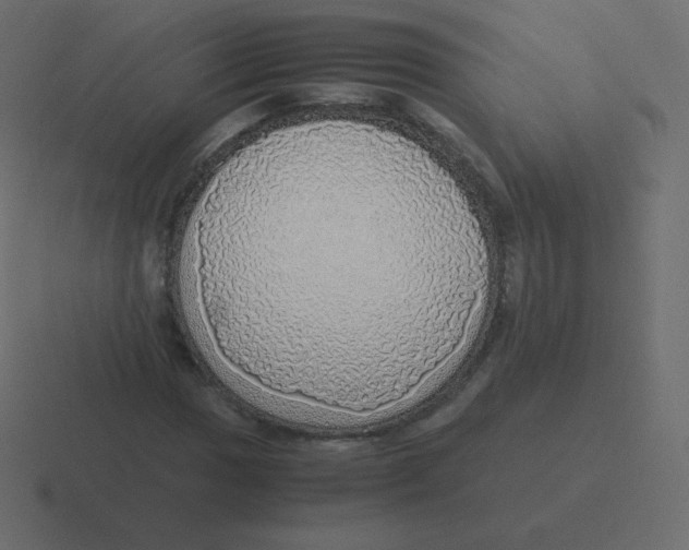 X0000116461017200912292003