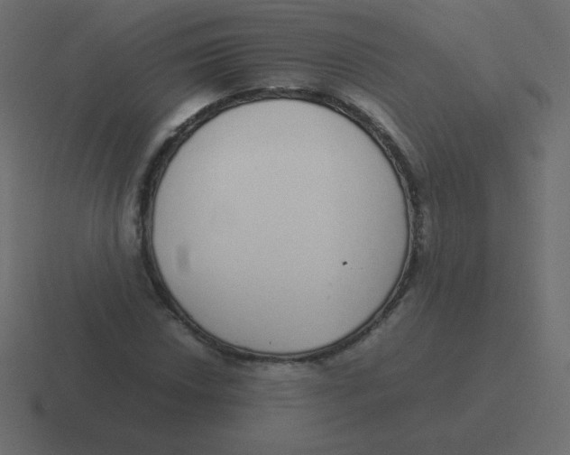 X0000116461018200912292003