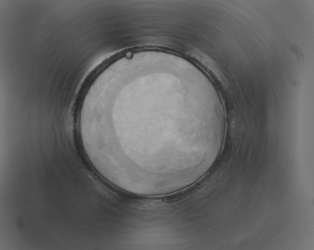 X0000116461024200912292003