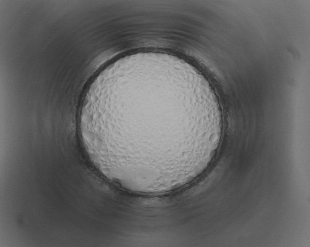 X0000116461025200912292003