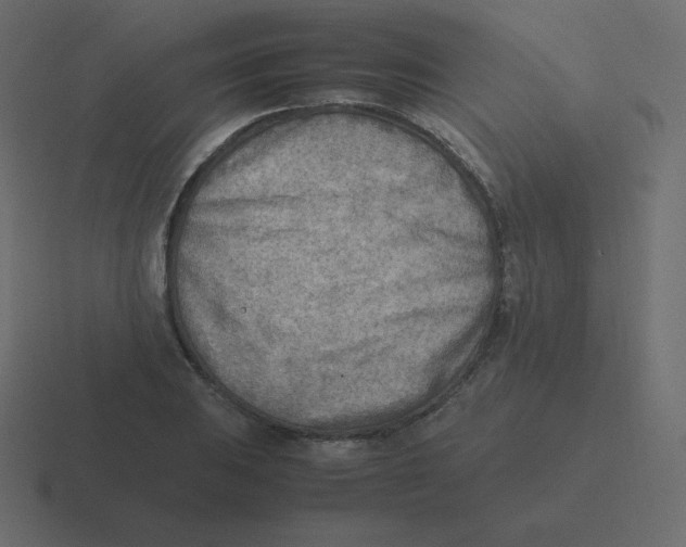 X0000116461031200912292003