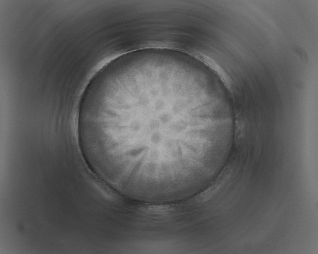 X0000116461035200912292003