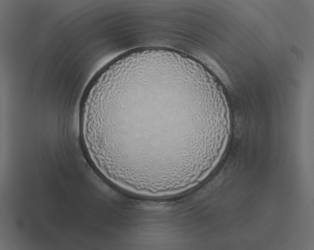 X0000116461036200912292003