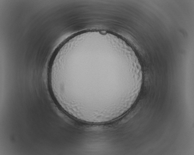 X0000116461038200912292003