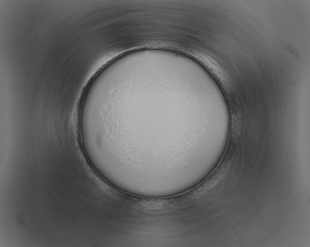X0000116461046200912292003