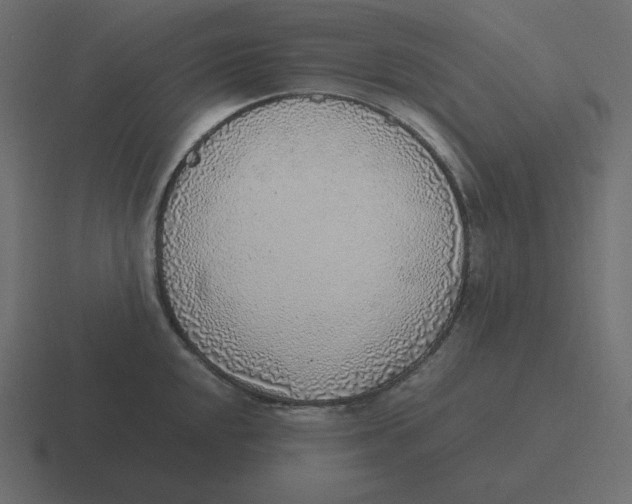 X0000116461048200912292003