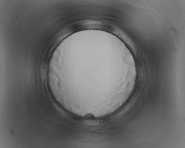 X0000116461049200912292003