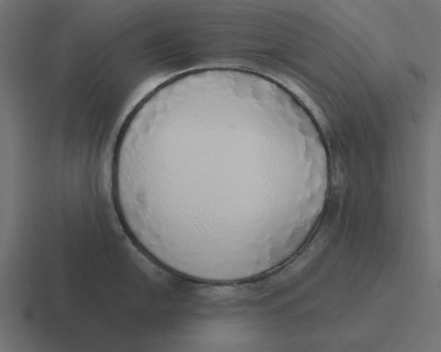 X0000116461054200912292003