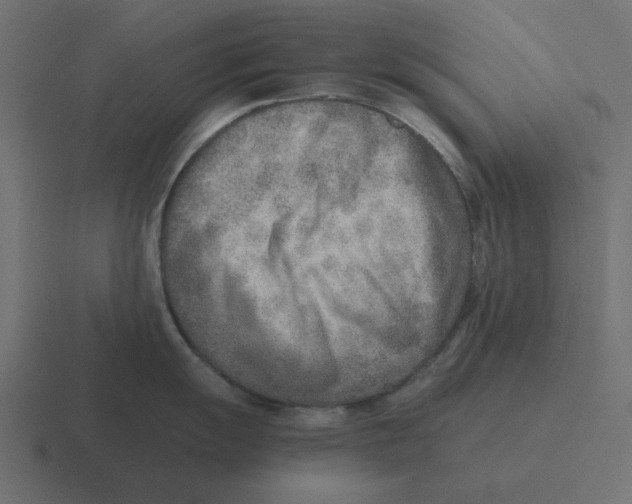 X0000116461055200912292003