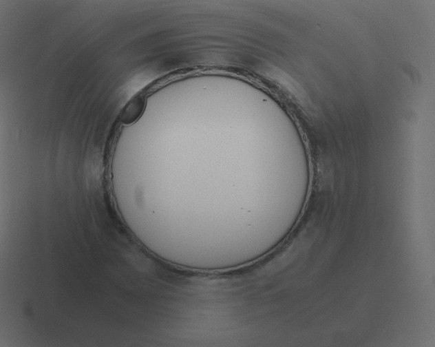 X0000116461065200912292003
