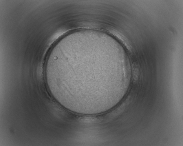 X0000116461074200912292003
