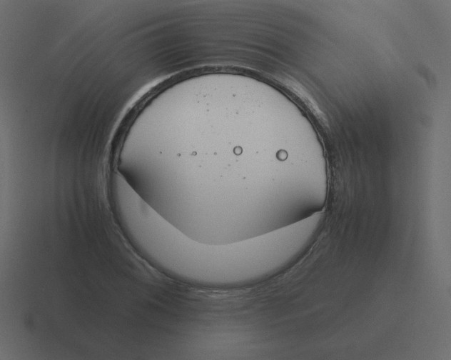X0000116461076200912292002