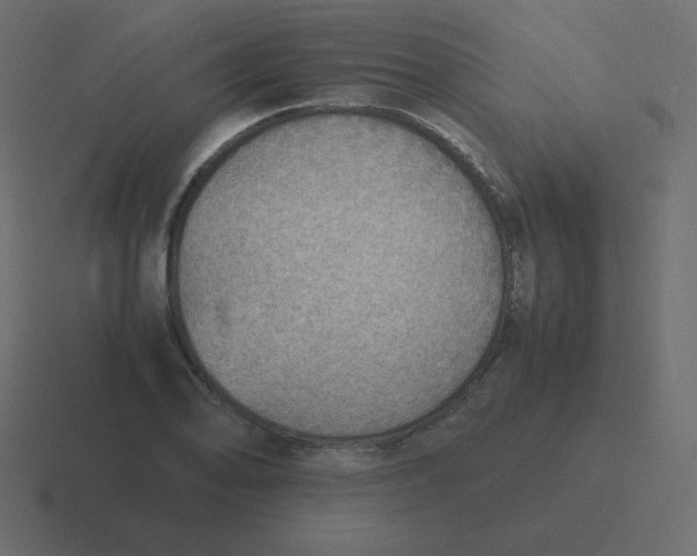 X0000116461078200912292002