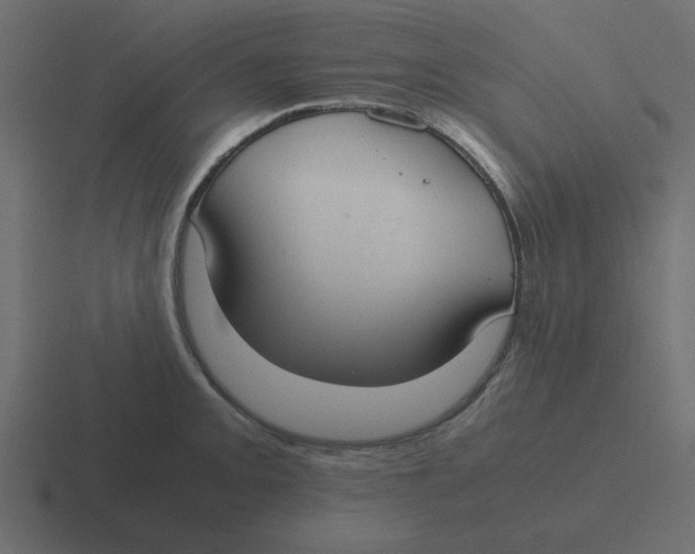 X0000116461093200912292002