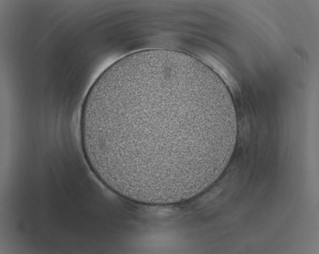 X0000116461103200912292002