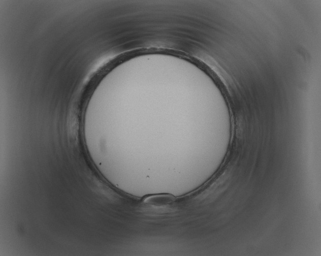 X0000116461115200912292002