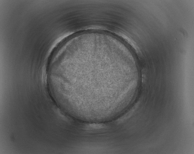 X0000116461117200912292002