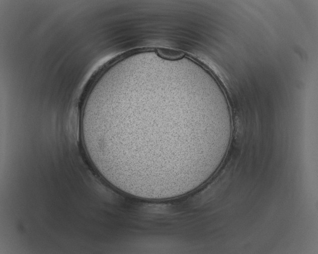 X0000116461123200912292002