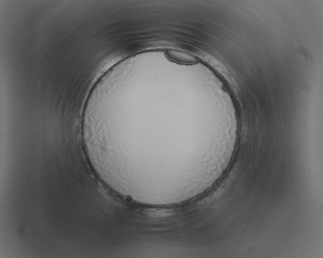 X0000116461145200912292002