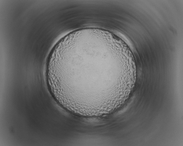 X0000116461149200912292002