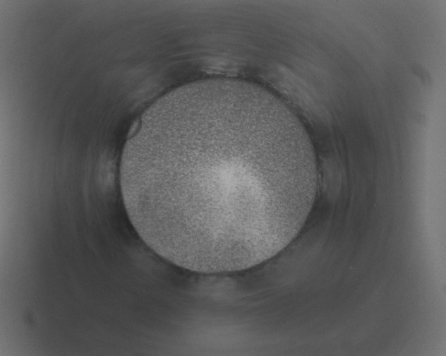 X0000116461154200912292002